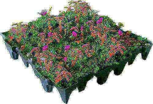 ANS Green Roofing System