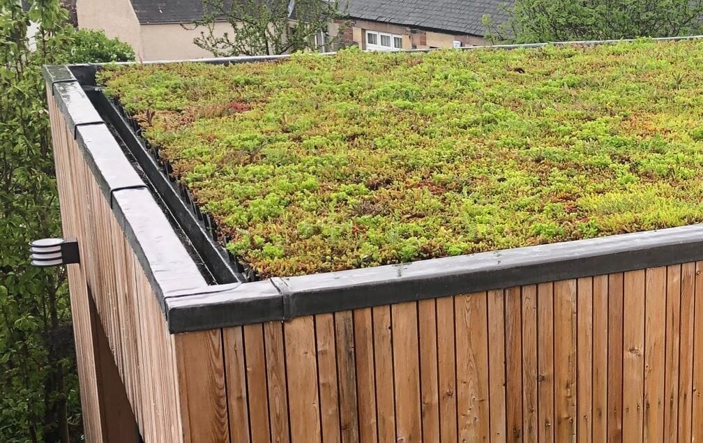 GrufeKit Sedum & Wildflower Green Roof Module 540mm x 540mm