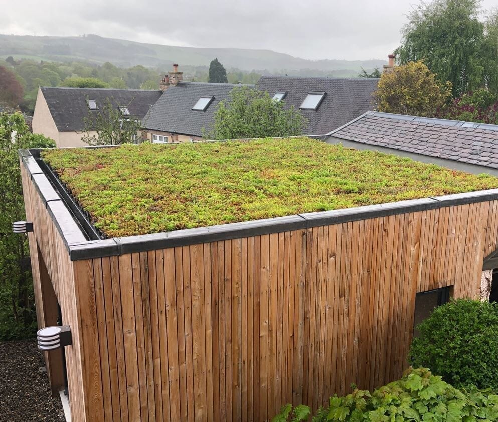 GrufeKit Sedum & Wildflower Green Roof Module 540mm x 540mm