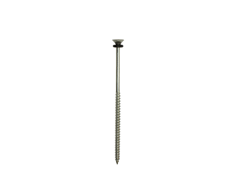 Mayan Stainless Steel RidgeFix 100mm screws (Spares) - Pack of 10