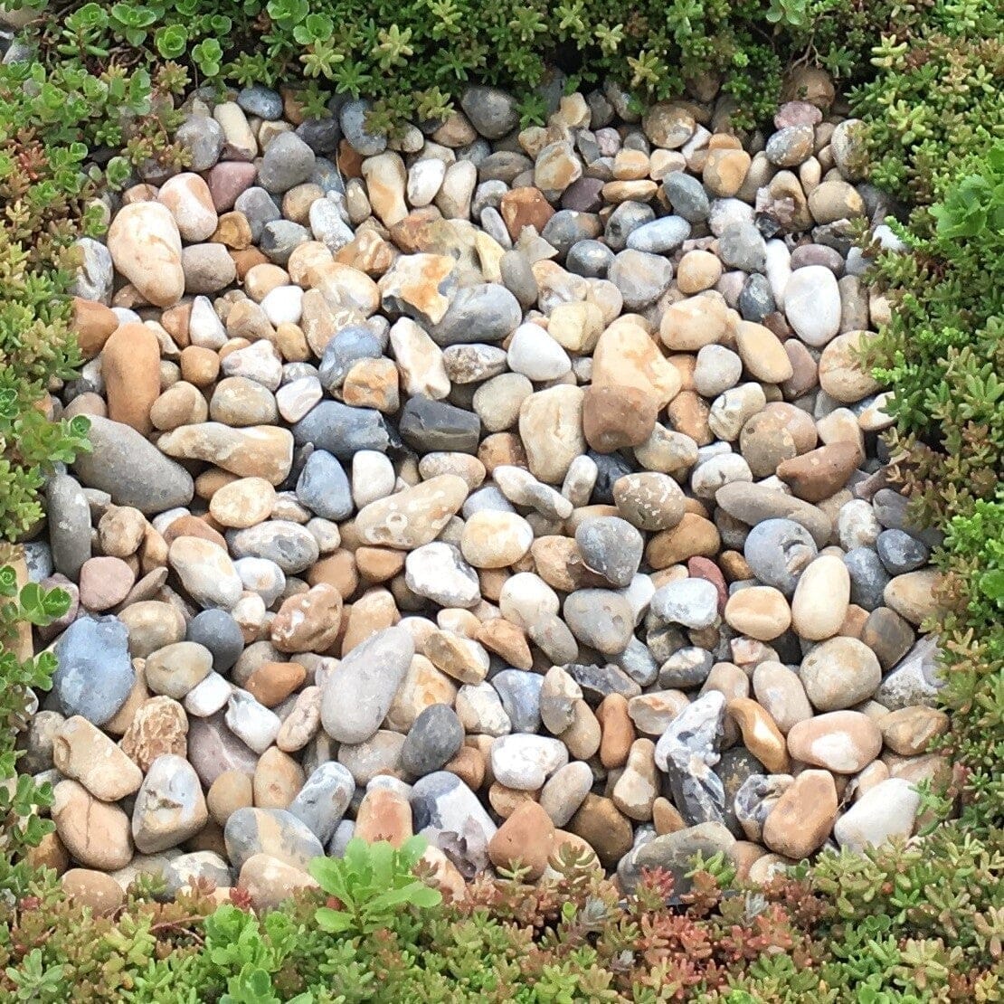 Wallbarn Washed Rounded Green Roof Fire Break Pebbles (20-40mm Gauge)- Bulk 1 Tonne Bag